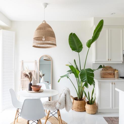 White kitchen with big plant