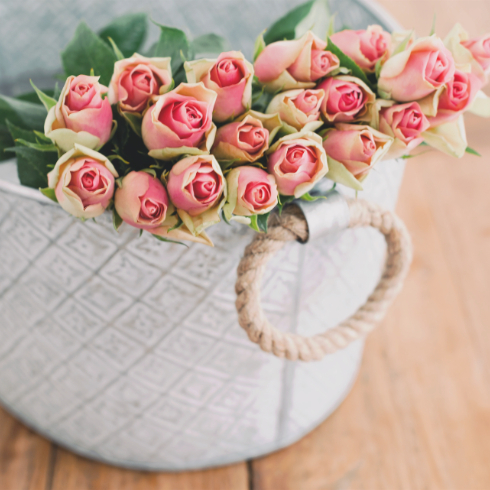 Fresh roses in a cloth basket