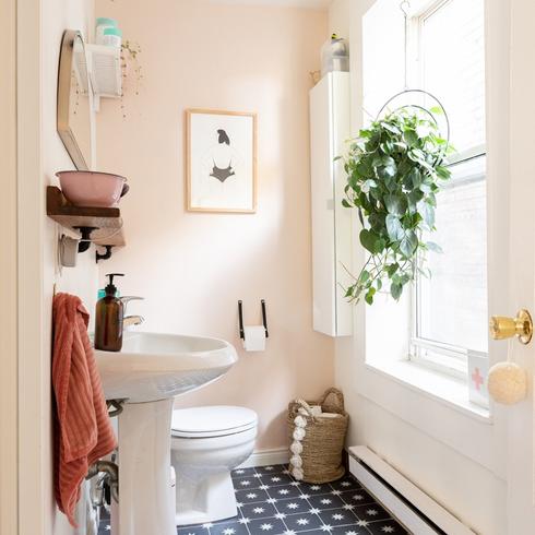 Pink bathroom with hanging plant on windowsill