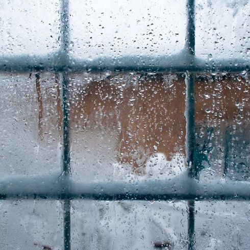 Window in the winter
