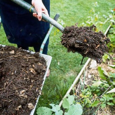 Person applying mulch to their garden