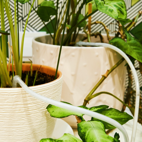 an automatic irrigation system for indoor plants