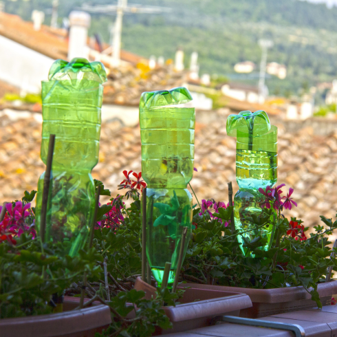 upside down plastic bottles, filled with water, used as DIY irrigation system for plants