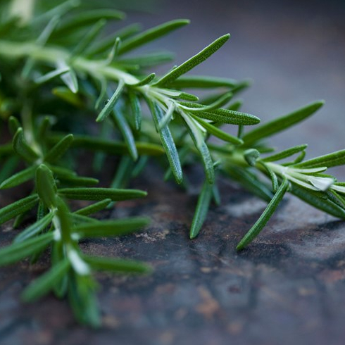 A sprig of rosemary on a wooden board