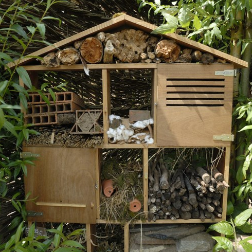 Insect hotel in trees