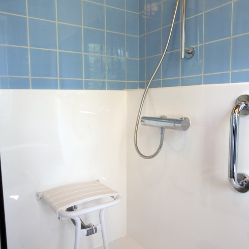 shower with shower chair and handle bar