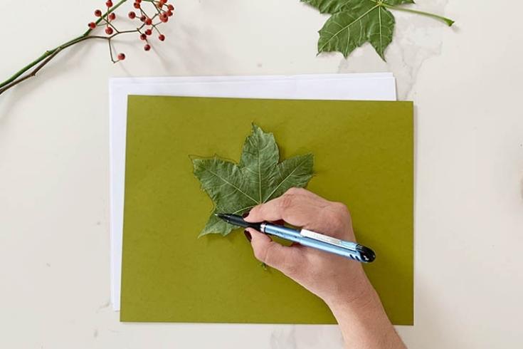 Person tracing leaf