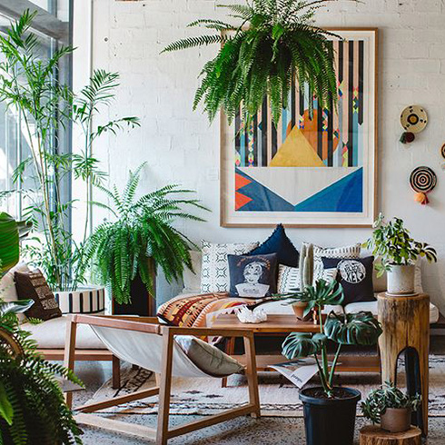 Boho living room with ferns and monsteras around.