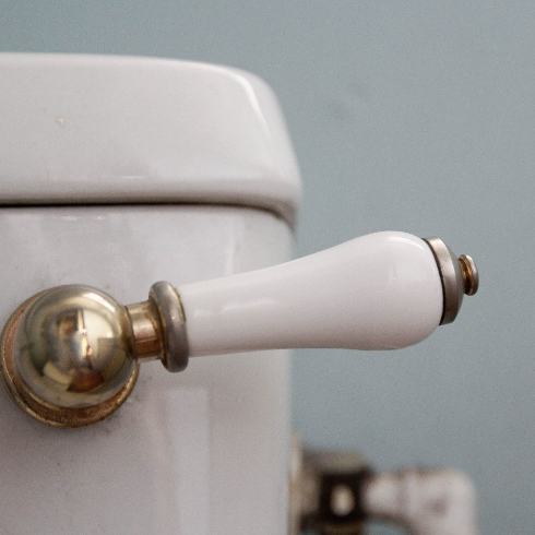 A closeup of a brass toilet flush with a white porcelain handle, attached to a white porcelain toilet.