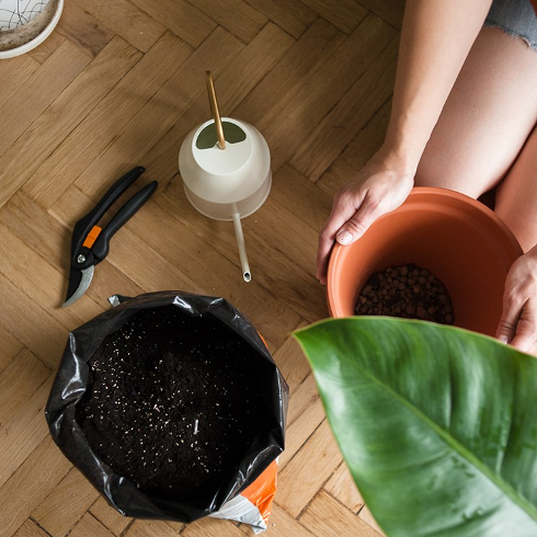 Birds eye view of a person repotting a plant. On the floor is a plant, a bag of fresh soil, an empty terracotta pot, and watering can and shears.