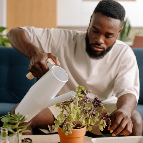 Man watering a plant indoors
