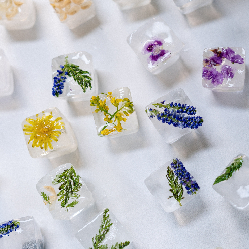 Ice cubes with edible flowers in them