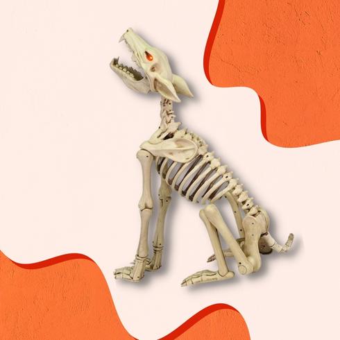 a howling wolf skeleton - halloween decoration