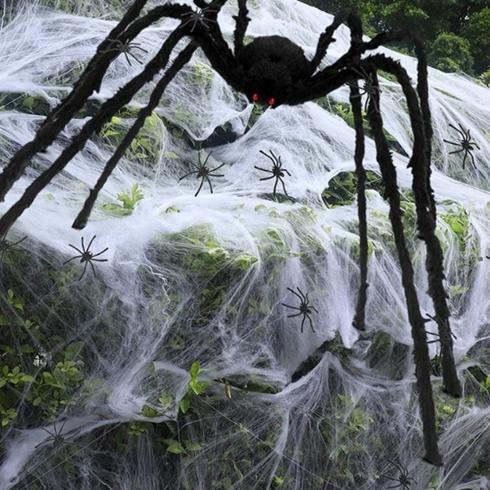 Creepy large spider Halloween decoration with faux spider web