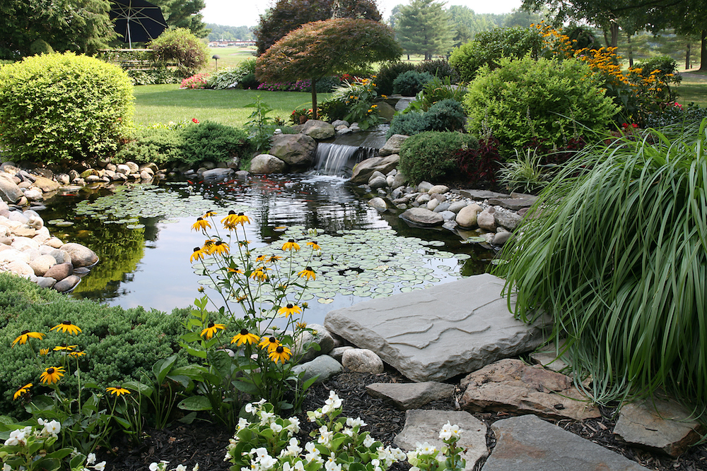 Beautiful backyard water feature with river stones, green grasses and a waterfall