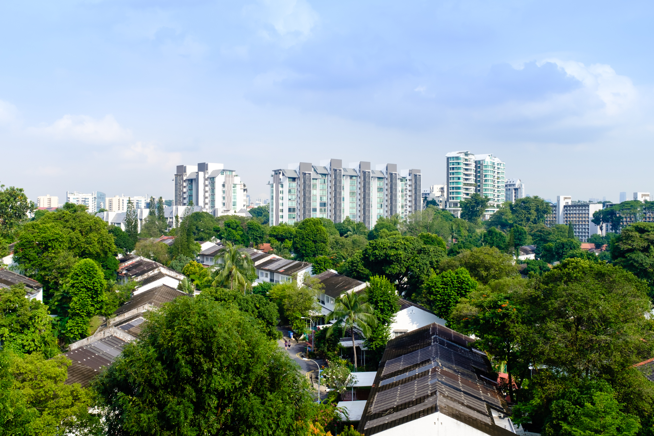 Residential building skyline in forest