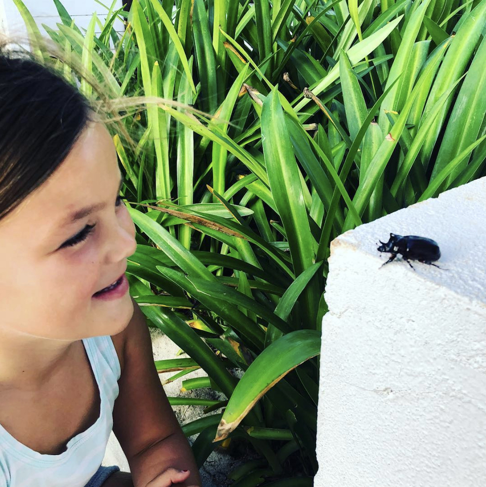 Josephine Baeumler looks at a large black beetle
