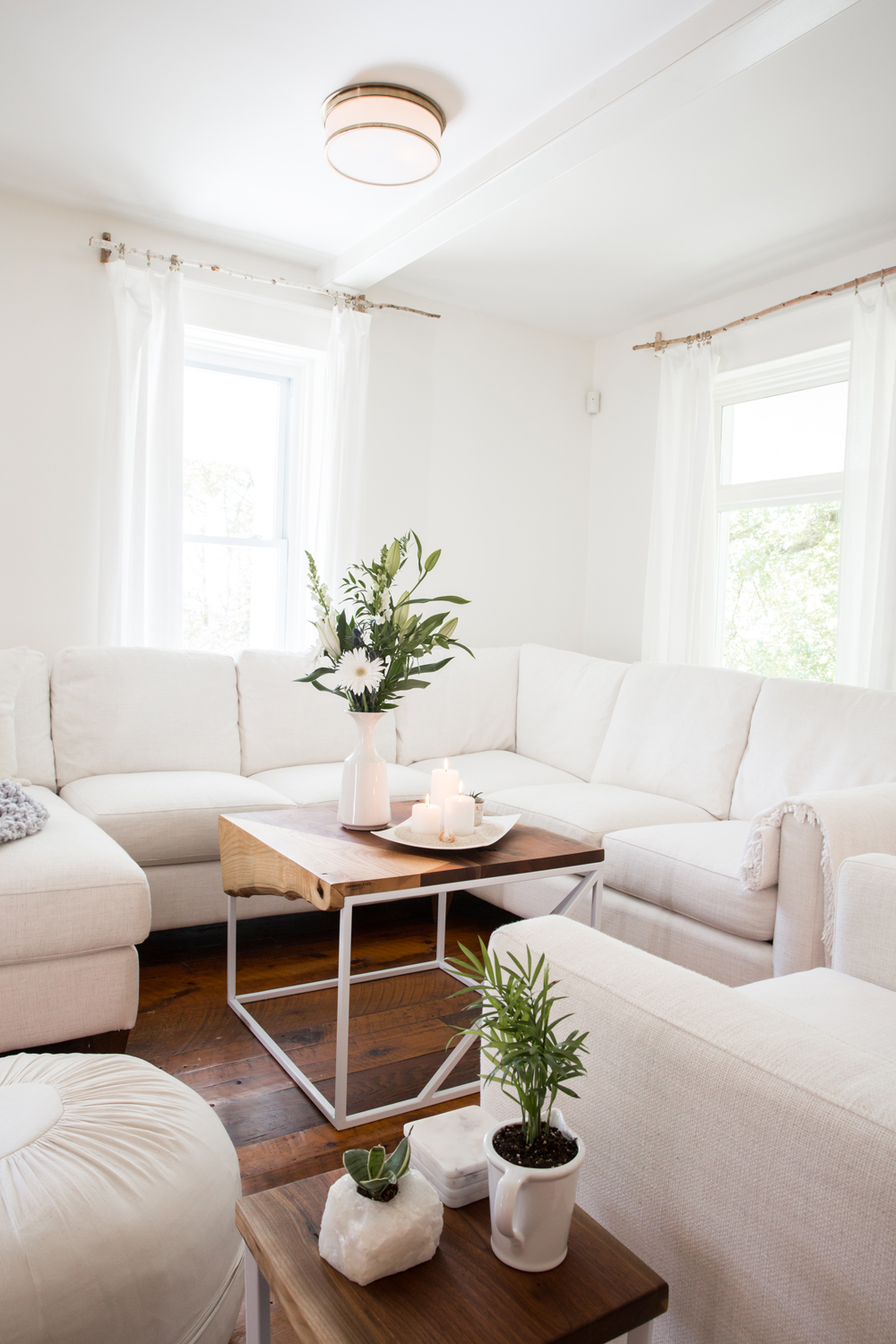 Small green plants in all-white living room