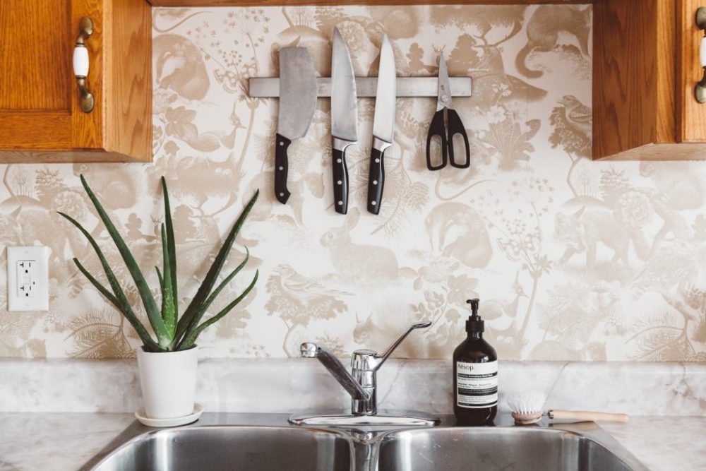 Kitchen sink with an aloe plant and pale brown wildlife wallpaper