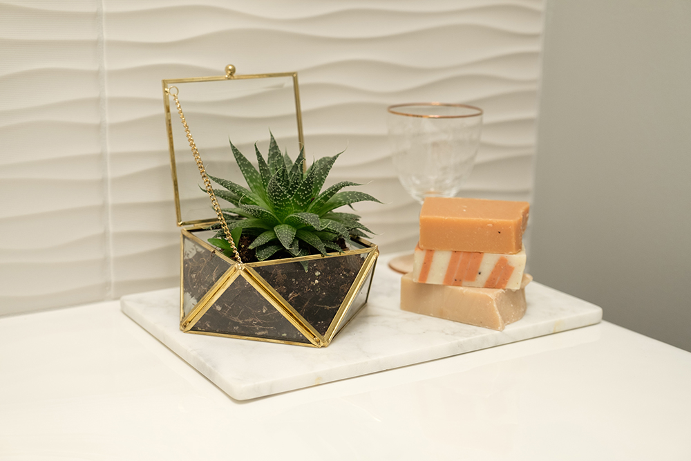 A potted succulent and a stock of small soaps sit on a white counter in the modern bathroom