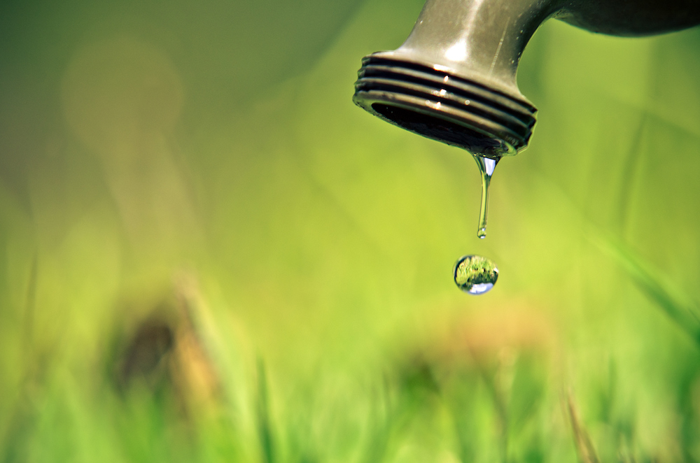 Dripping tap against green grass