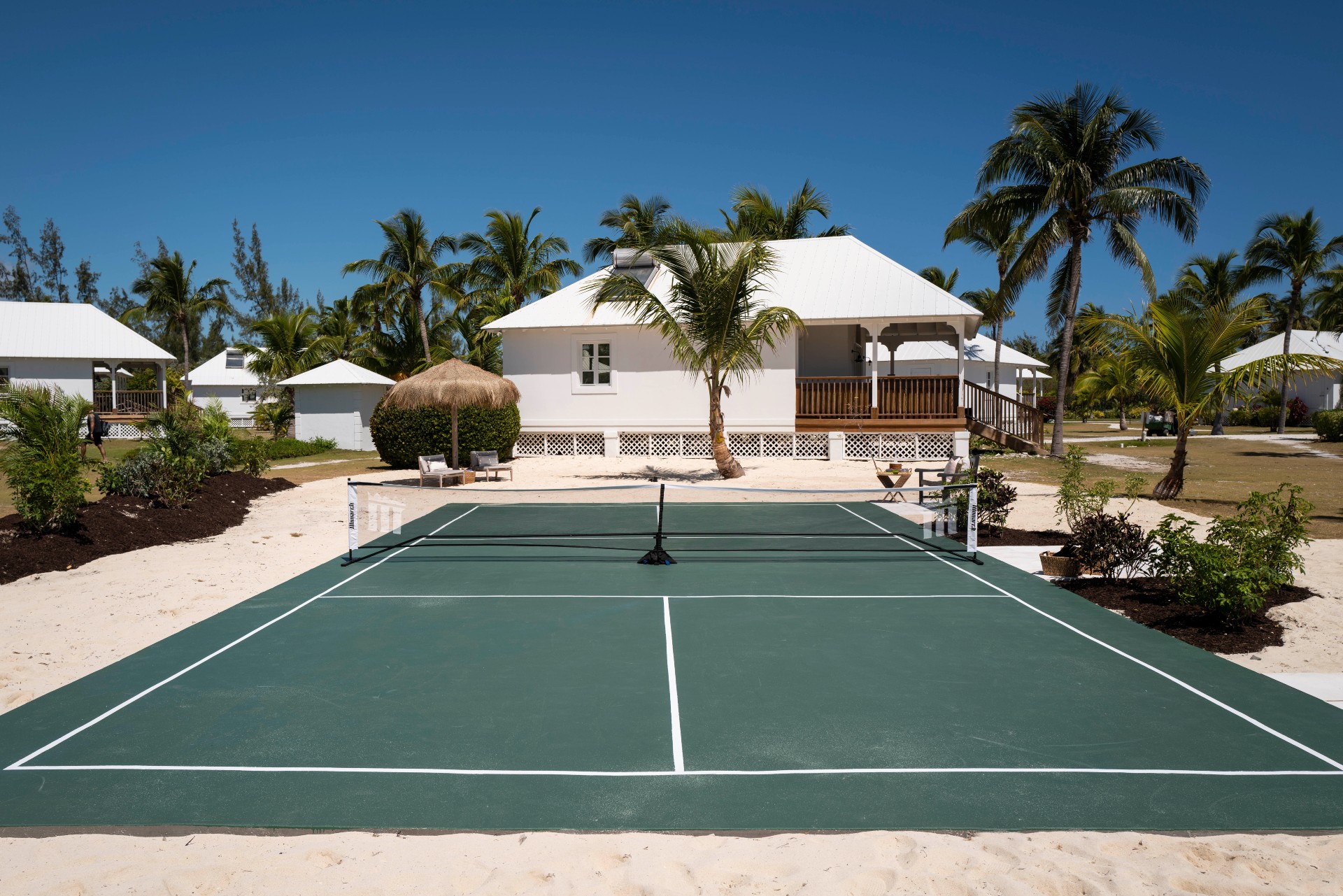Resort sport court with palm trees