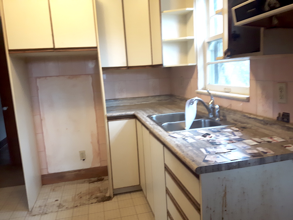 Buyers Bootcamp abandoned bungalow kitchen before renovations