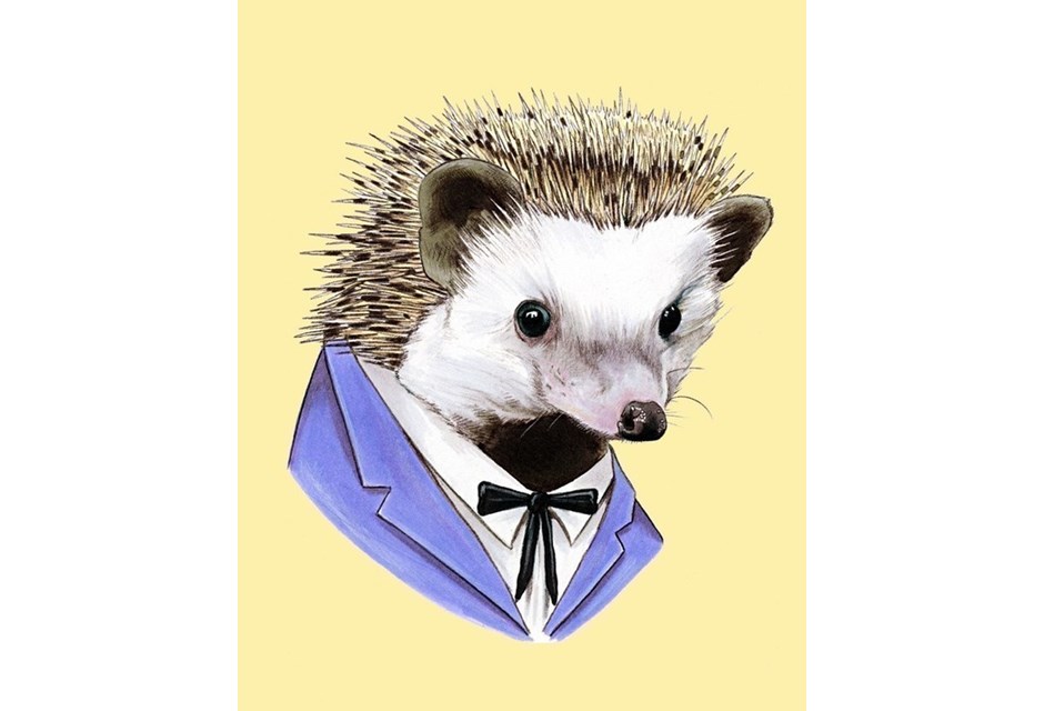Mr. Hedgehog, To You