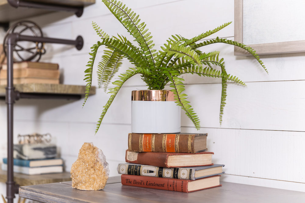 Masters of Flip split level white wooden peel-and-stick boards with a stack of vintage books and a potted fern