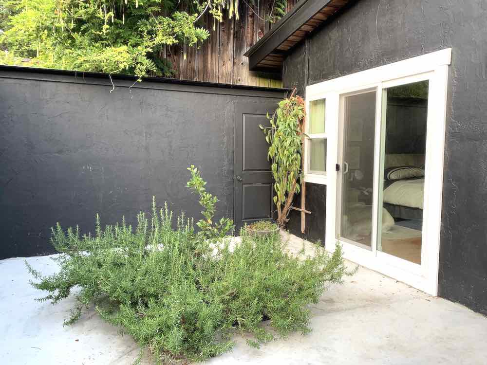 Exterior of a cottage courtyard with a large rosemary bush, greenery growing in behind it, and walls painted black with BEHR Black Smoke PPH-34 and window and door trim painted with BEHR Ultra Pure White 1850
