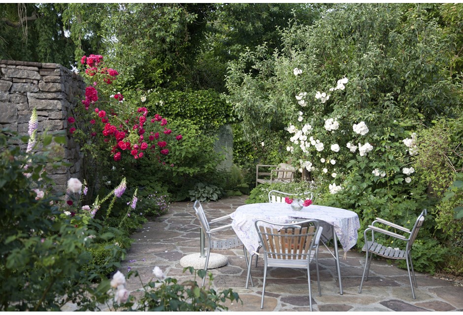 A lush garden surrounding patio furniture