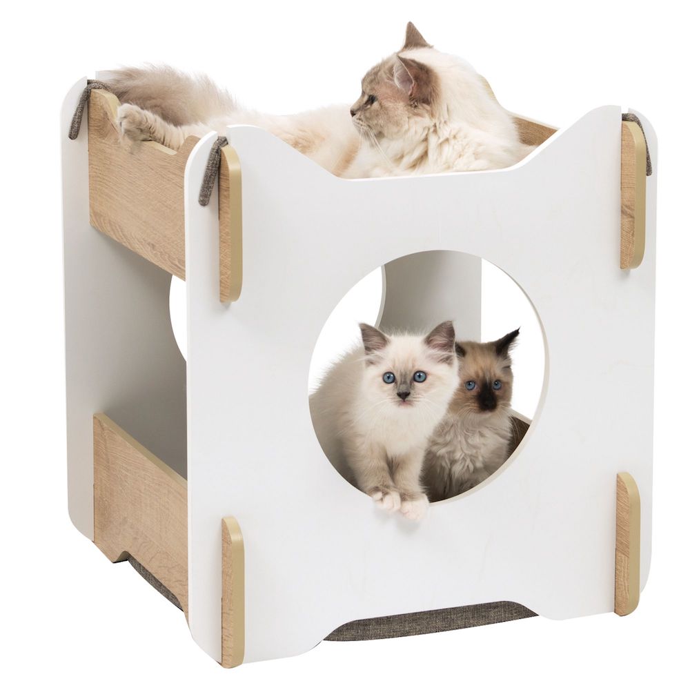A white long haired cat and two kittens play in a maple wood and white cat house