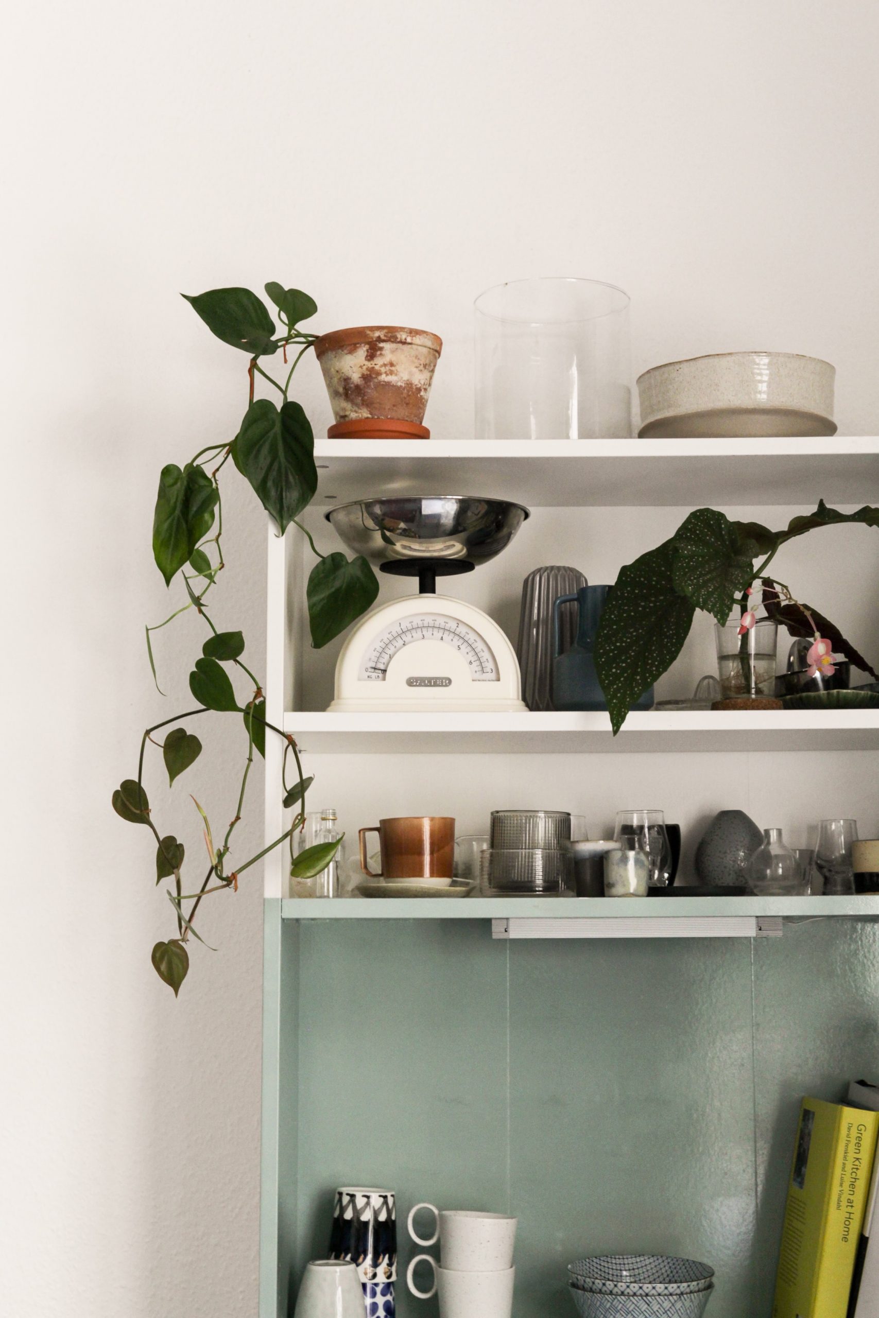 White shelving holding an assortment of kitchen wares and appliances