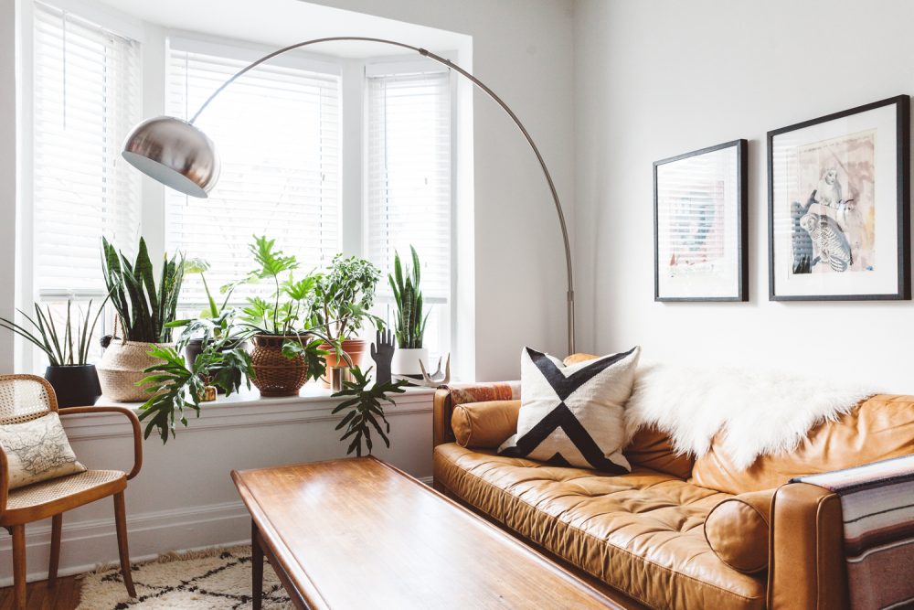 14 Plant Filled Living Rooms For, Decorating Around A Caramel Leather Sofa