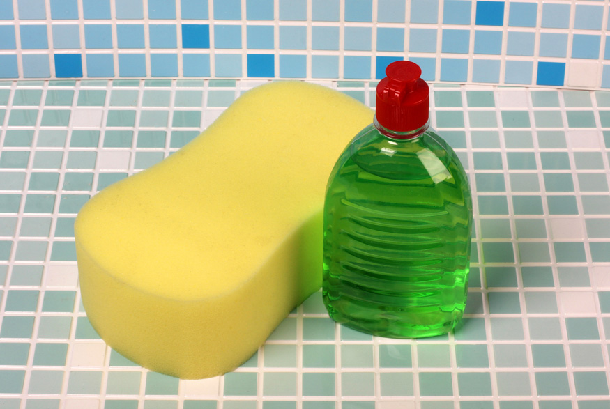 Dish soap and sponge