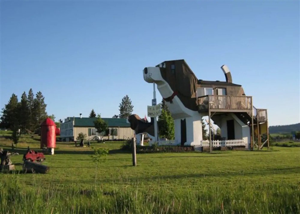 brown and white dog-shaped house in field