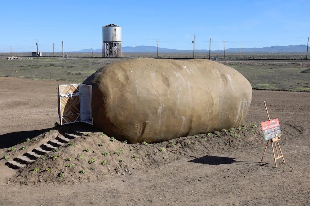 giant potato on farmland