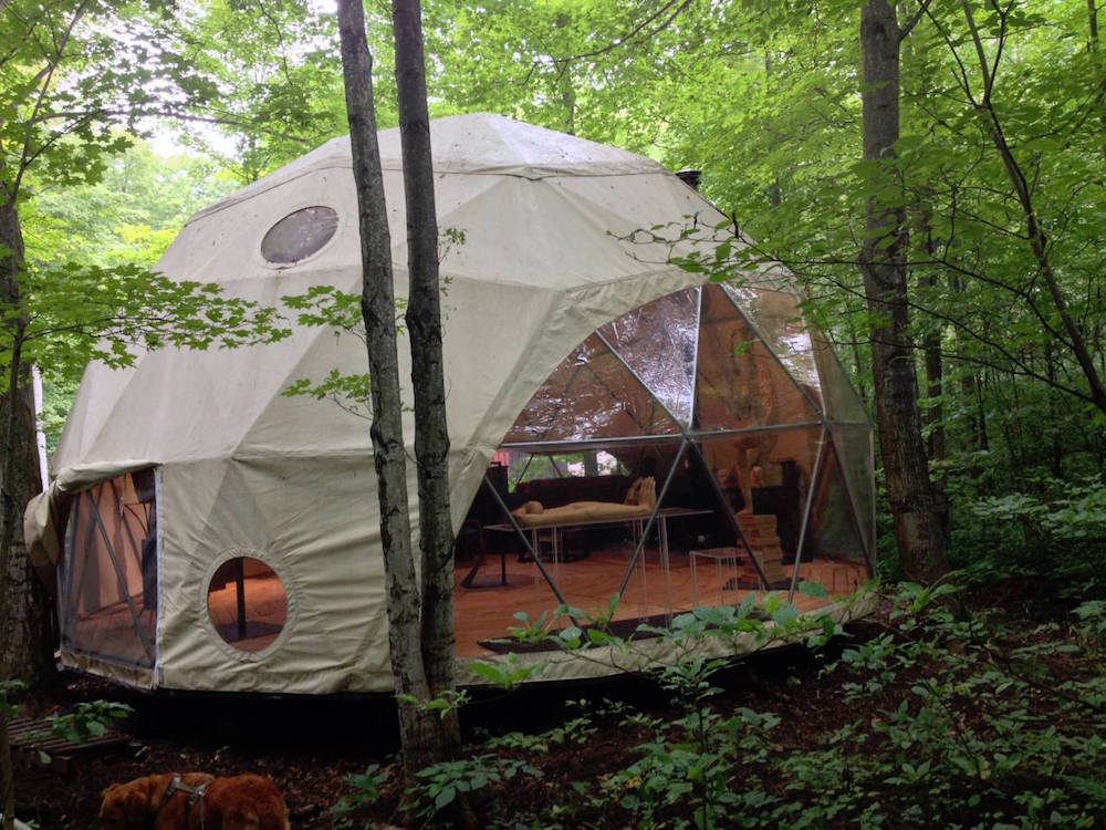 exterior geodesic dome in forest