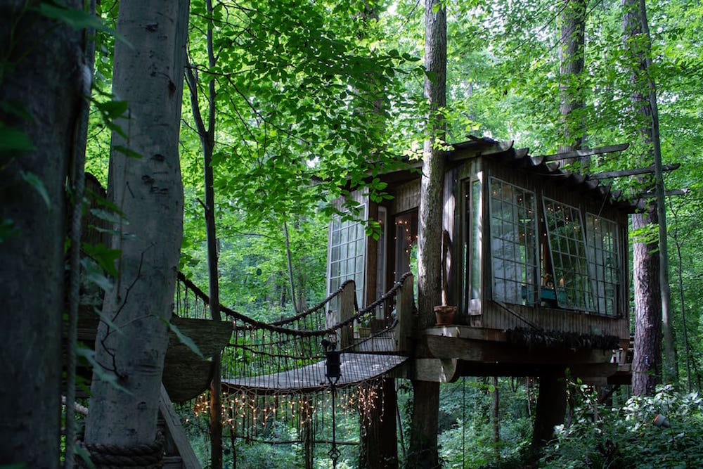treehouse with twinkle lights in the forest