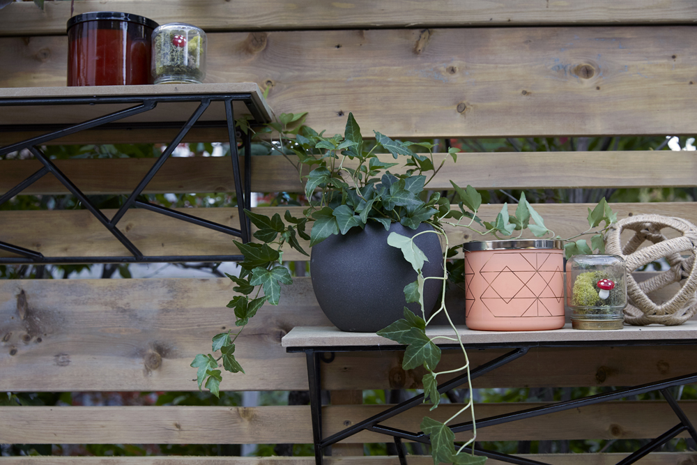 Potted plants on layered shelves attached to a backyard fence