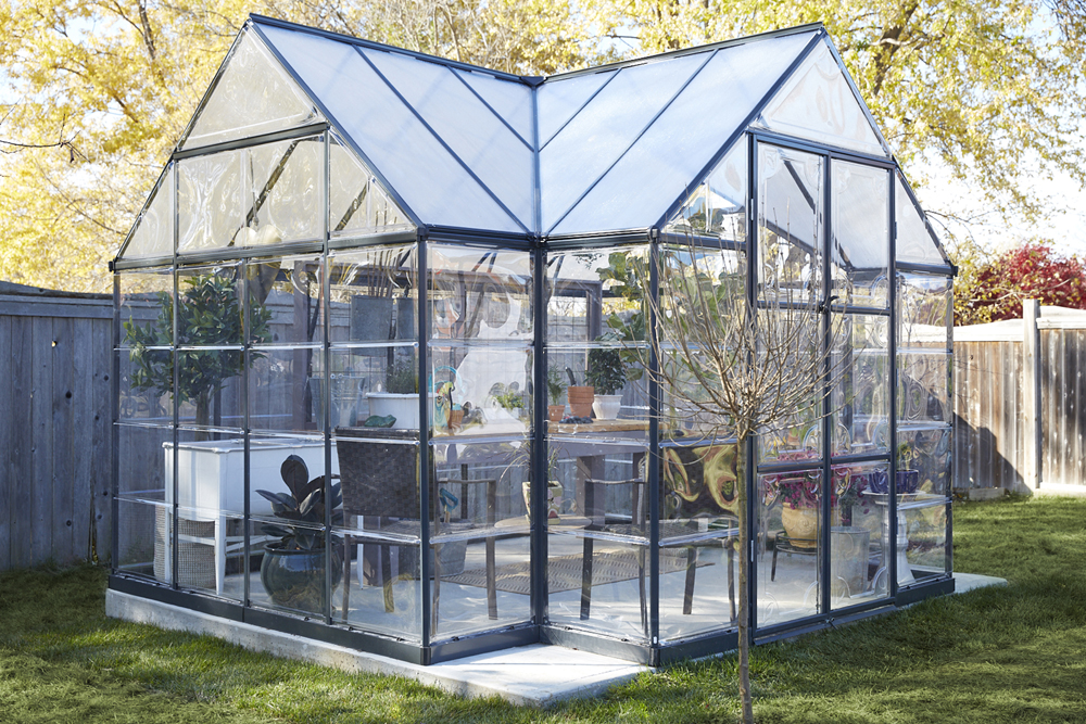 Glass greenhouse in a backyard filled with potted plants