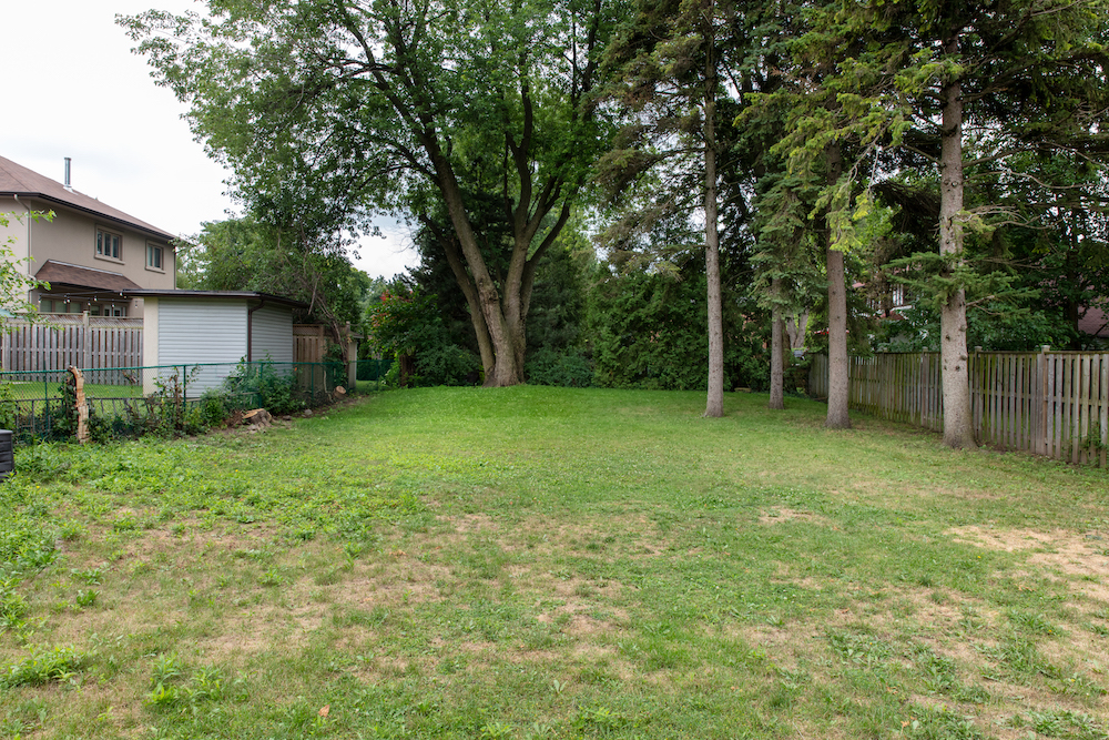 empty backyard with green grass