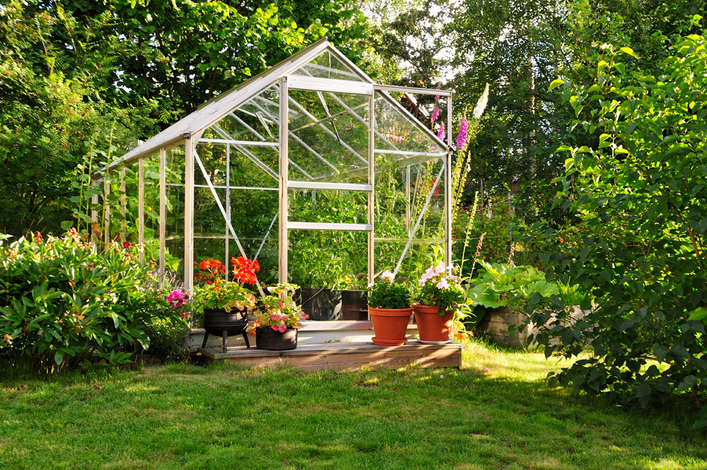 Backyard Greenhouse Design Idea
