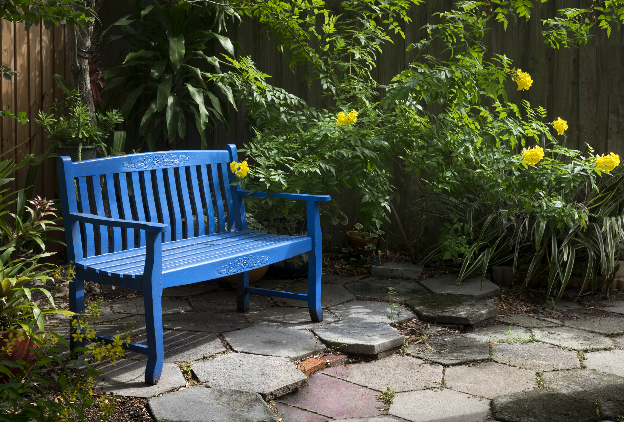 A blue bench in a backyard garden.