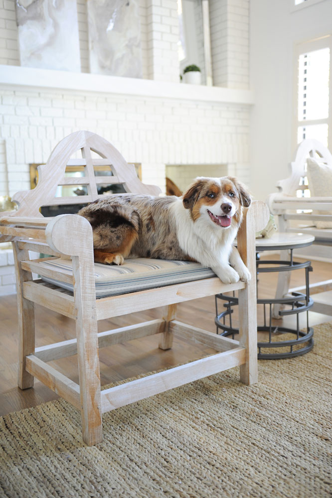 dog on wooden chair in front of white brick living room fireplace