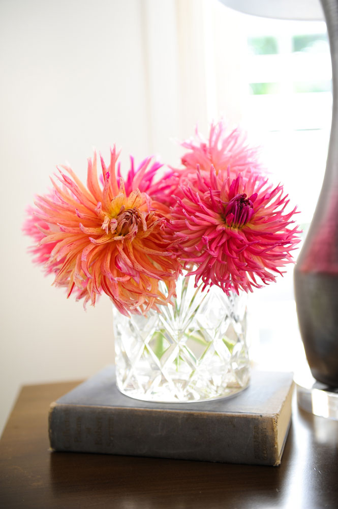 pink flowers in crystal vase bedside closeup