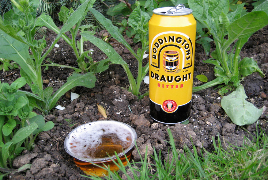 Beer trap in garden