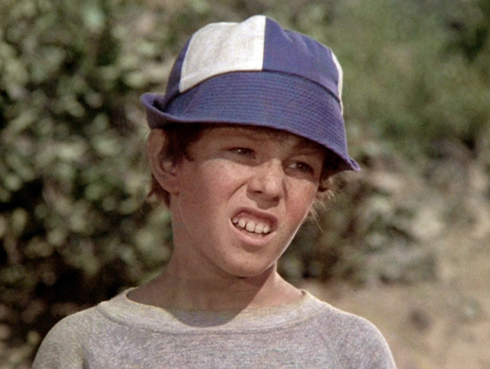 Former Brady Bunch child actor Mike Lookinland