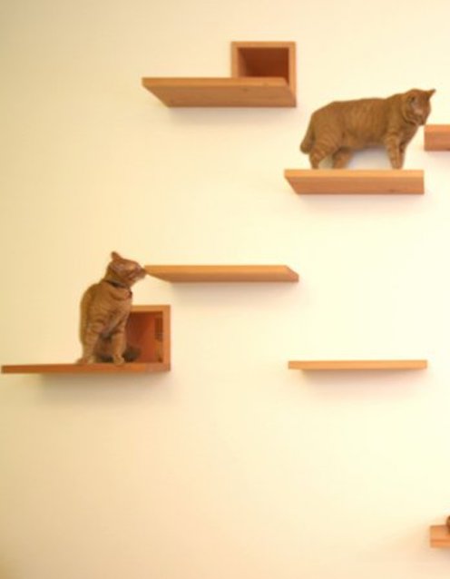 The Cat House, Tokyo