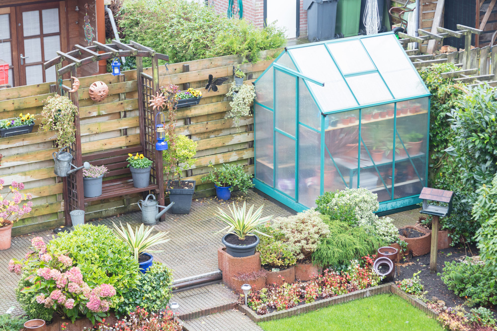 Small greenhouse surrounded by plants